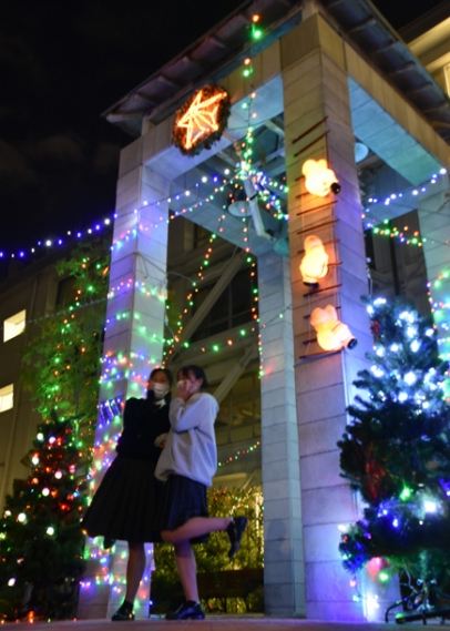 クリスマスツリーをイメージしたイルミネーション=岐阜市正法寺町の済美高で