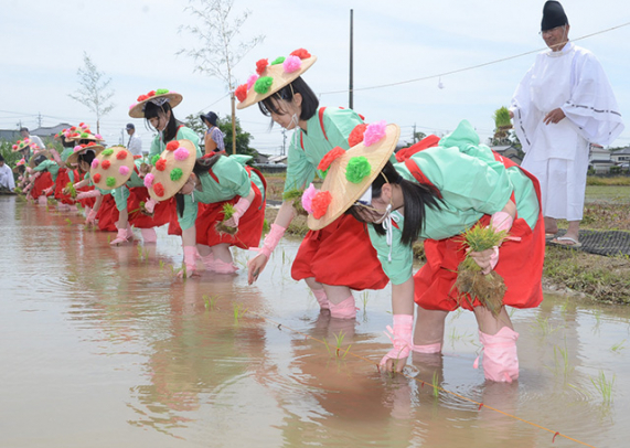 早乙女姿で苗を植える生徒ら＝愛西市で