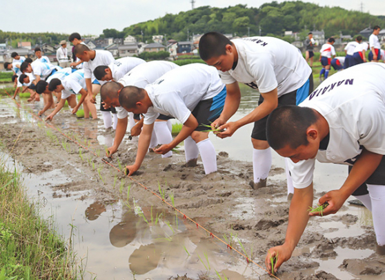 力を合わせて、田植えをする東邦高野球部とサッカー部の生徒ら＝東郷町諸輪で