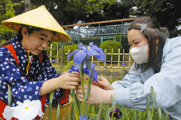 子どもに摘み取り方を指導する生徒（右）＝名古屋市昭和区の鶴舞公園で