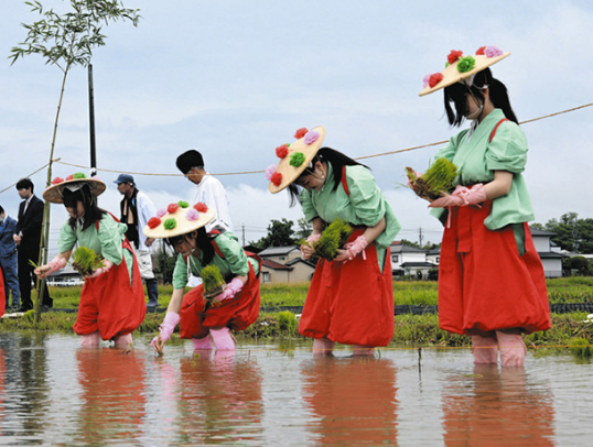 早乙女姿で田植えする生徒たち＝愛西市下一色町で