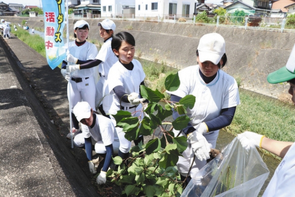清掃活動に励む生徒たち=本巣市の糸貫川で