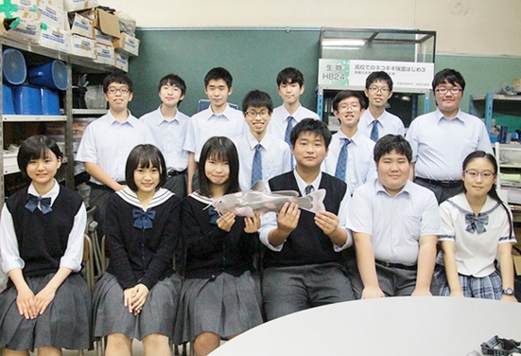 ネコギギの飼育に取り組む部員たち=鈴鹿市庄野町の鈴鹿高で