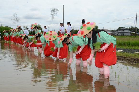 早乙女姿で苗を植える生徒ら＝愛西市の神饌田で