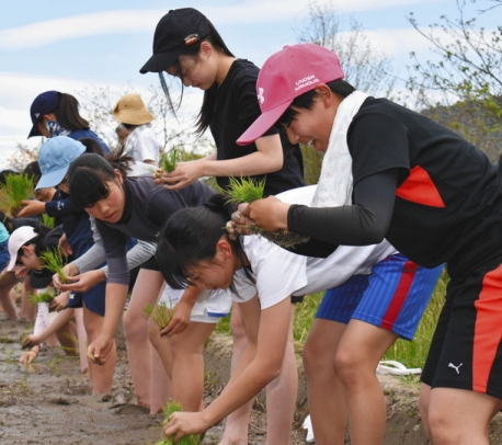 声を掛け合いながら、田植えを楽しむ生徒=高山市一之宮町で