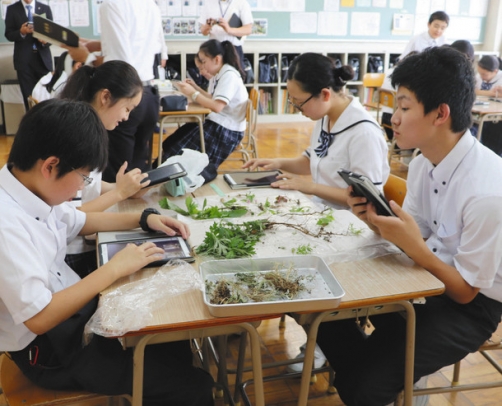 植物をタブレット端末で写真に撮って分類する生徒＝多治見市明和町の多治見西高付属中で