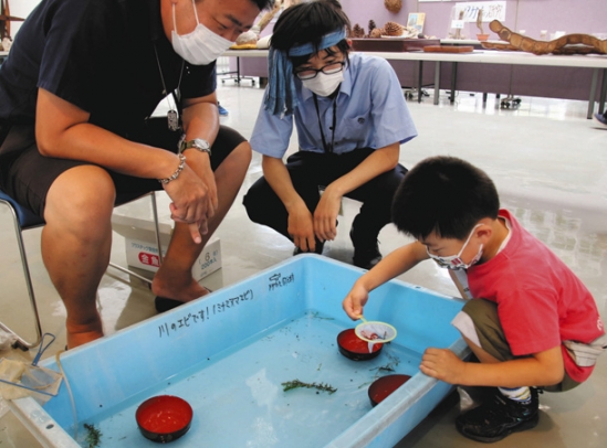 ヌマエビすくいを体験する子ども＝のんほいパークで