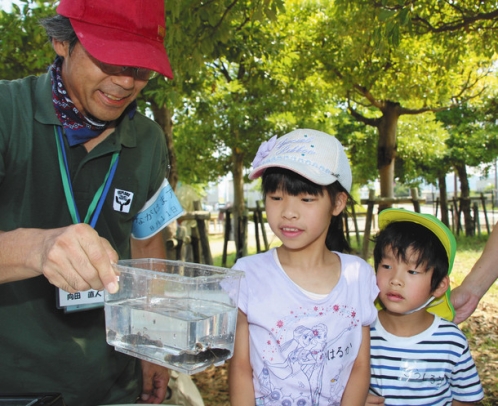 採取されたドンコを観察する子どもら＝長浜市田村町で