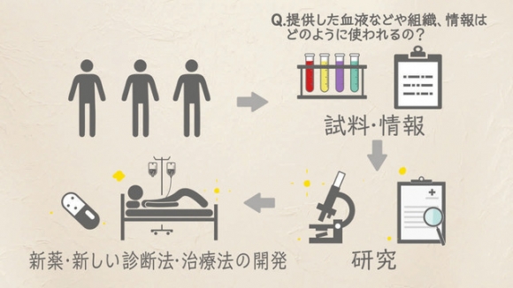 作成した動画の一場面