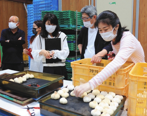 利用者とともに黒ニンニクの加工作業を体験する学生ら＝関市平和通で