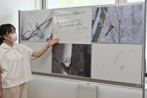 作品の説明をする学生＝千種区の椙山女学園大で