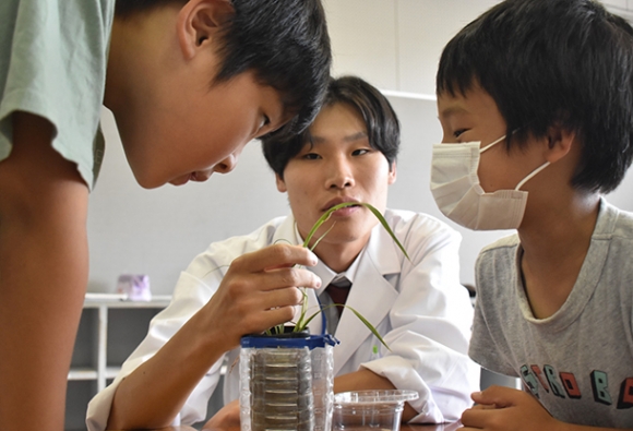 昆虫を観察する児童ら＝伊勢市佐八小で