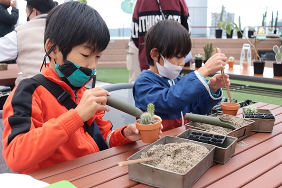 サボテンの寄せ植えを楽しむ来場者＝春日井市役所隣の文化フォーラム春日井で