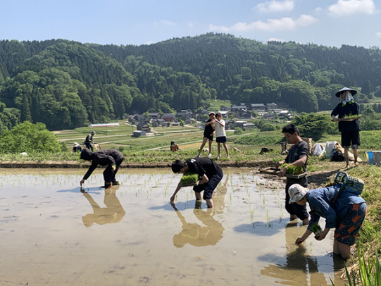 日本の原風景ともいえる棚田で手植えする学生や企業人ら＝金沢市牧山町で
