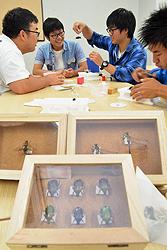 採取した昆虫の標本作りに励む琵琶湖研究部のメンバーたち＝長浜市の長浜バイオ大で