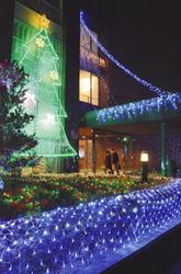 ５万個のＬＥＤ電球が使われた電飾＝鈴鹿市の鈴鹿医療科学大白子キャンパスで