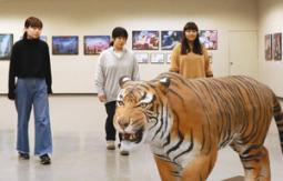 学生たちの力作が並ぶ会場＝大垣市スイトピアセンターで