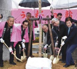 若木の根元にスコップで土をかけて祝う岐阜さくらの会の役員と学園関係者＝関市桐ケ丘の中部学院大関キャンパスで