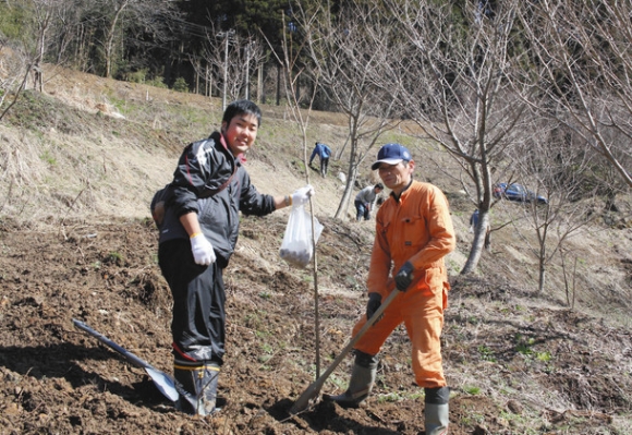 桜の苗木を植える参加者＝津幡町牛首で