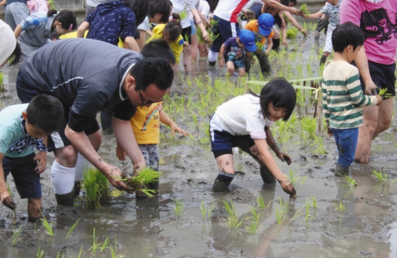 色とりどりの苗を植える親子たち＝北名古屋市役所東庁舎西側で