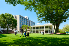 緑が綺麗な中庭